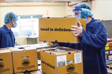 A Mission Mountain Food Enterprise Center employee boxes food for the Local Food for Local Families  food box project.