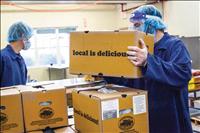 MMFEC receives $100,000 grant for Food Box Program