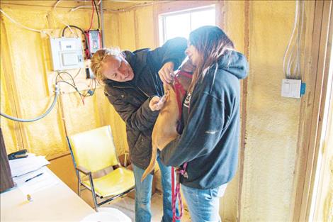  MVAS staff members lovingly administer a DAPPv Canine vaccination.