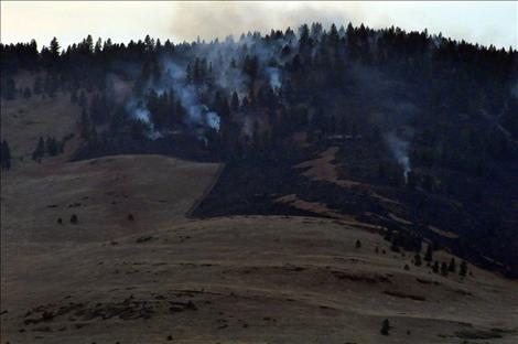 The Ferry Basin fire, six miles west of the National Bison Range, burned in timber and brush on Sunday, Aug. 11.