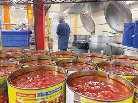 Diced tomatoes are ready to be added to the Montana marinara sauce made at the Mission Mountain Food Enterprise Center last Thursday. 