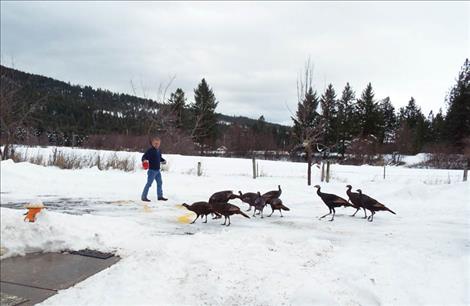 Newby enjoys feeding the visiting wildlife and helped two fawns survive the winter.