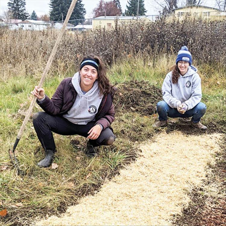 Polywog Park rejuvenated with native plants