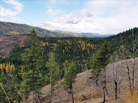 Two private inholdings of wildlife habitat have been conveyed to the Lolo National Forest
