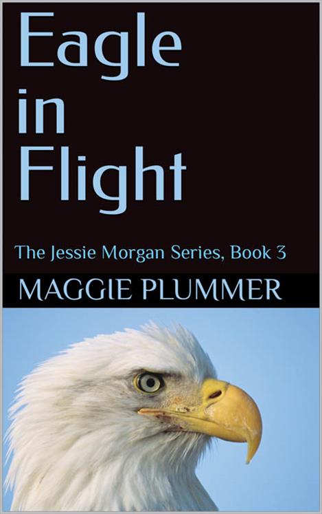 “Eagle in Flight” is the third book in the Jessie Morgan series.