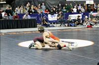 Mission Valley wrestlers flex muscles at state
