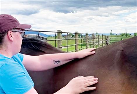 Equine massage therapy offered in Mission Valley