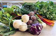 Farm-fresh foods available through CSAs