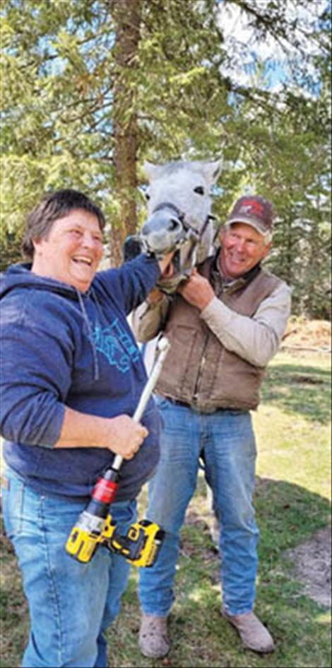 Veterinarian Beth Blevins floats the back teeth of a horse while her husband Craig holds onto the horse's halter.