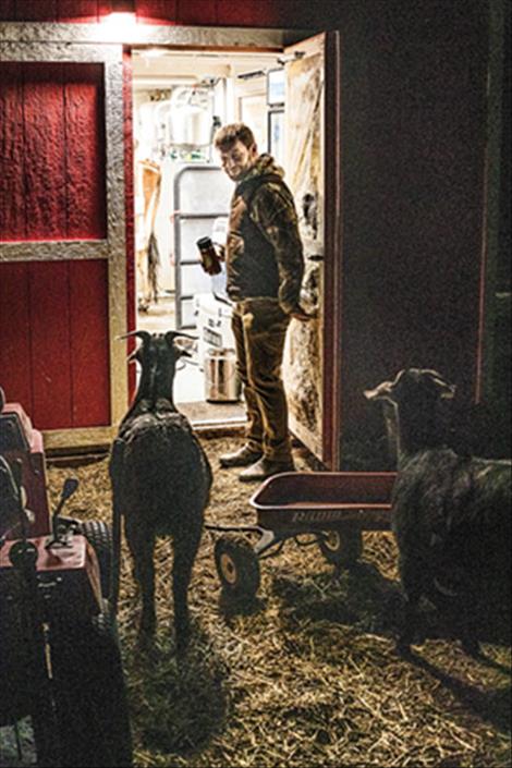 Macy Jordan of Jordan Homestead carries empty milk churns to the barn for an early morning milking.