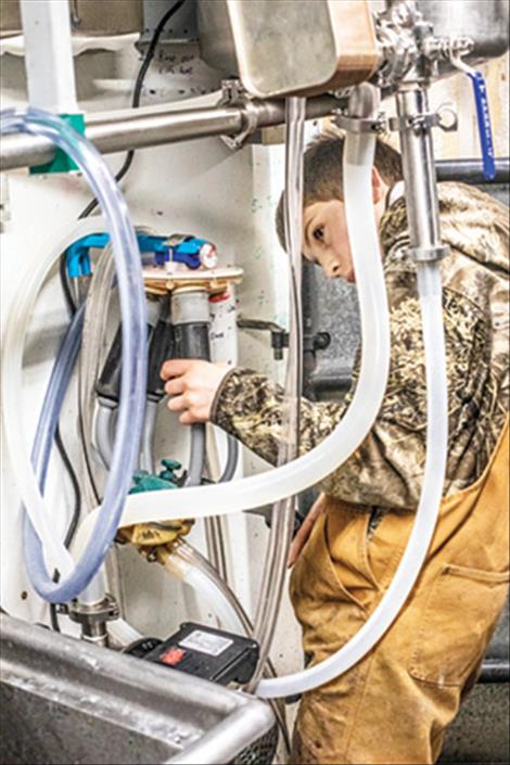 Chase Jordan adjust hoses on his family’s new milking machine.