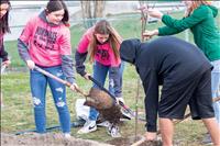 Students spruce up park