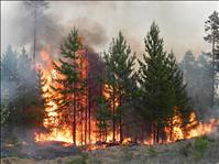 Make fire plans during Wildfire Awareness Month