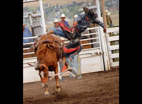 A tough pen of broncs makes winning a check at the Flathead River Rodeo a workout. A cowboy exits stage left