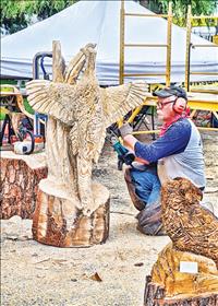 Ronan hosts third ‘Chainsaw Carving Rendezvous’