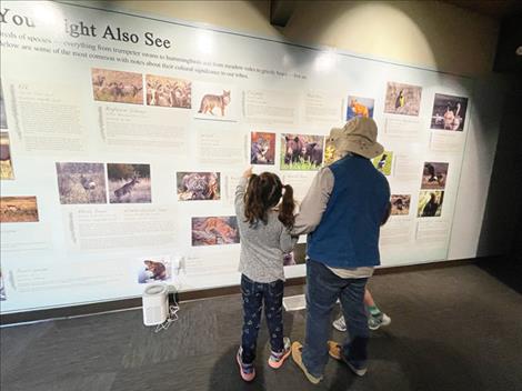 students look at educational displays about the many species of animals that can be found at the Bison Range.