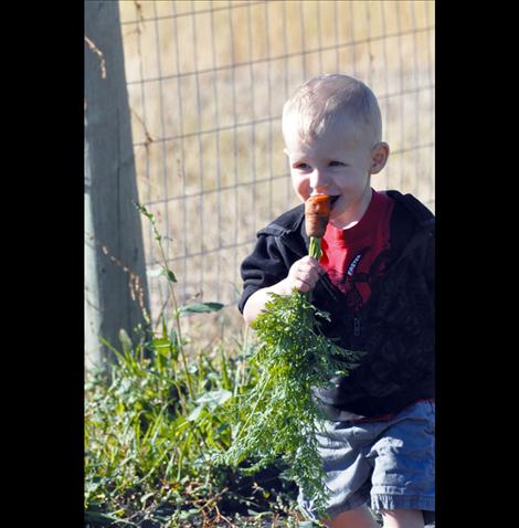 Colter Cross walks around his family’s garden. He hopes others will walk with him at the Missoula Heart Walk on Sept. 28. 