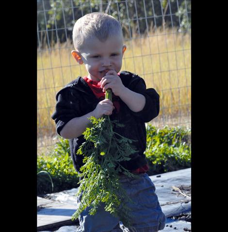 Colter chews on a freshly pulled carrot from his parent’s garden. Almost three years after his open heart surgery, Colter is a healthy toddler who enjoys playing outside and dancing. 