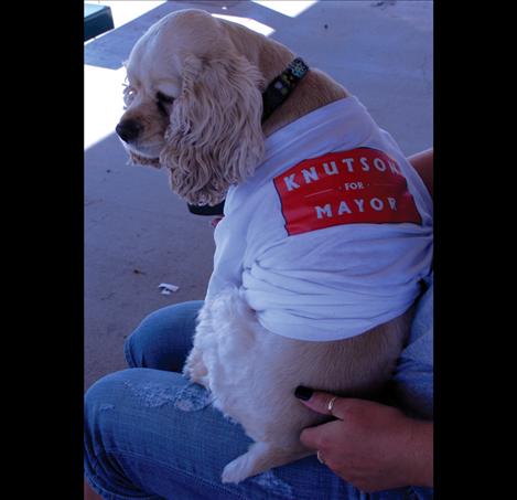 Bella, a cock spaniel, competes in the tiny tail contest at the Doggy Dash.