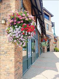 We need ‘Flower Power’