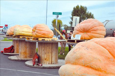 Spectators walk by Atlantic Giant pumpkins at the Ronan Harvest Festival, including the new state record pumpkin.