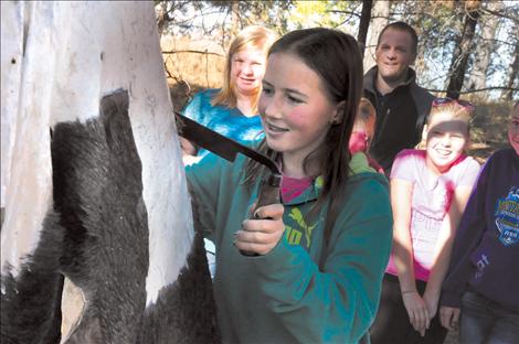 Gwen Seeley scrapes hair from a deer hide at a station at the People’s Center for Native Heritage Week. 